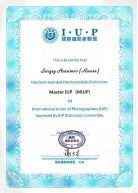 Master IUP (China)